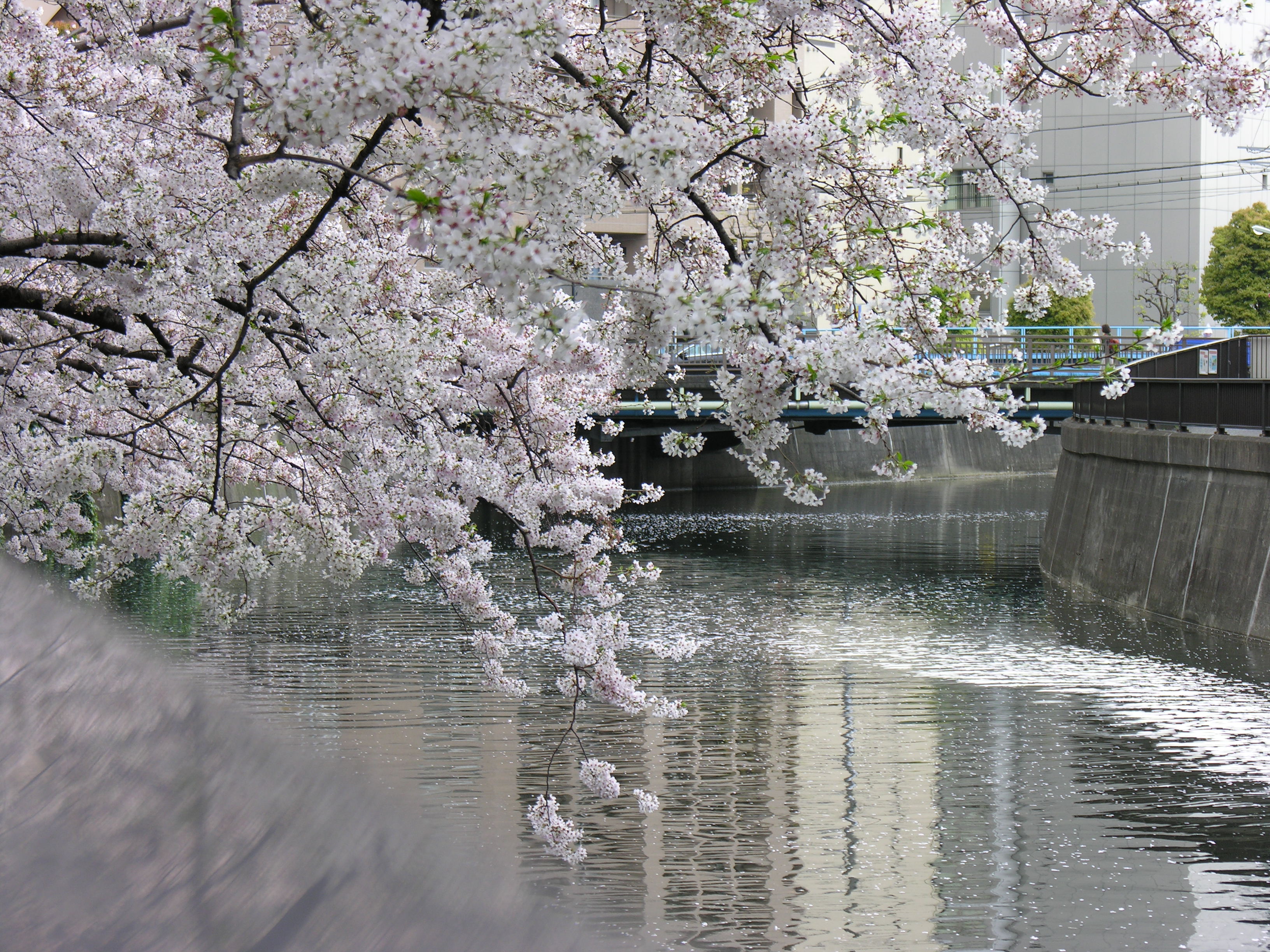 DSCN0019