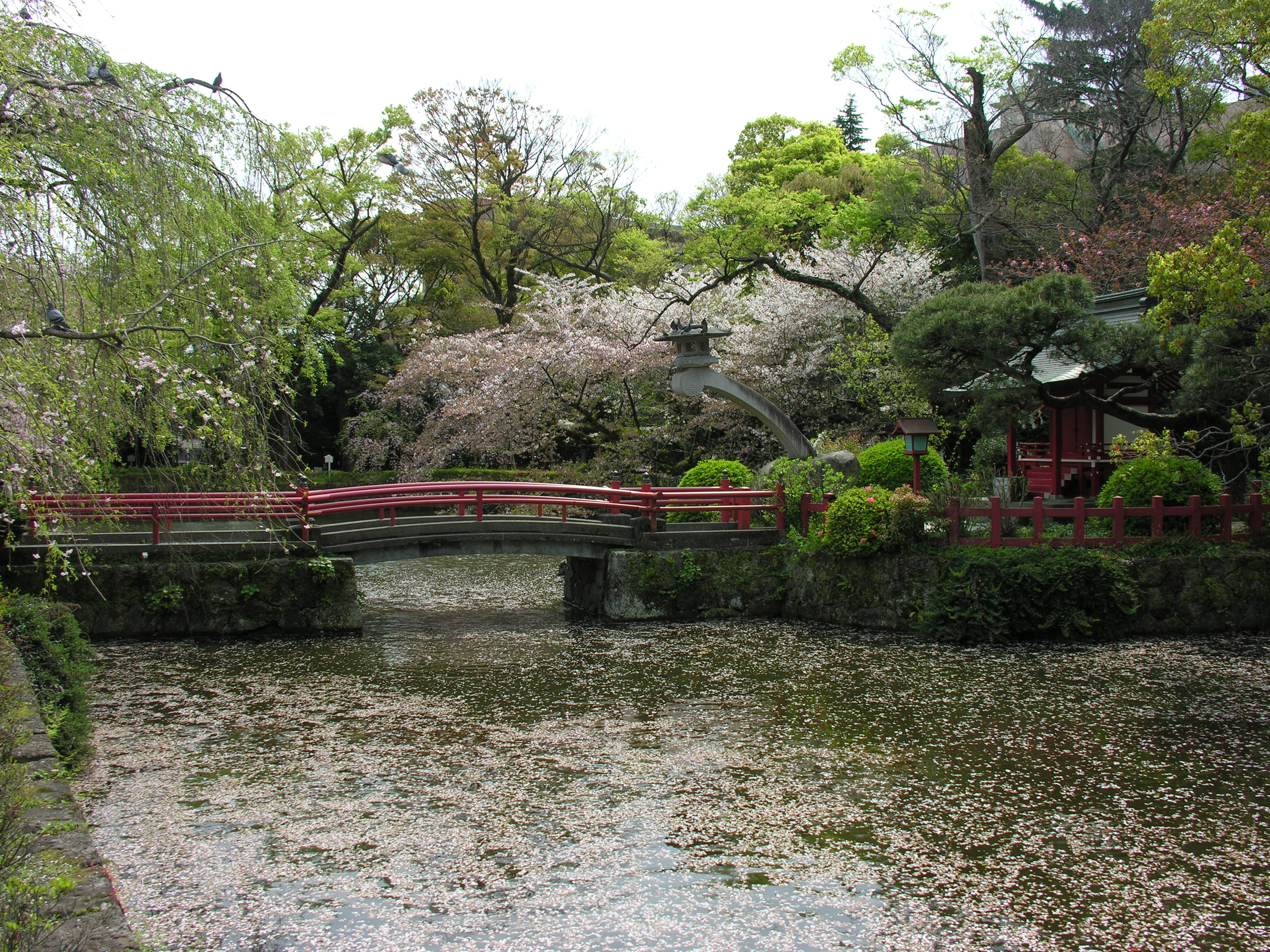 DSCN0139