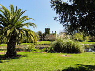 dsc07206